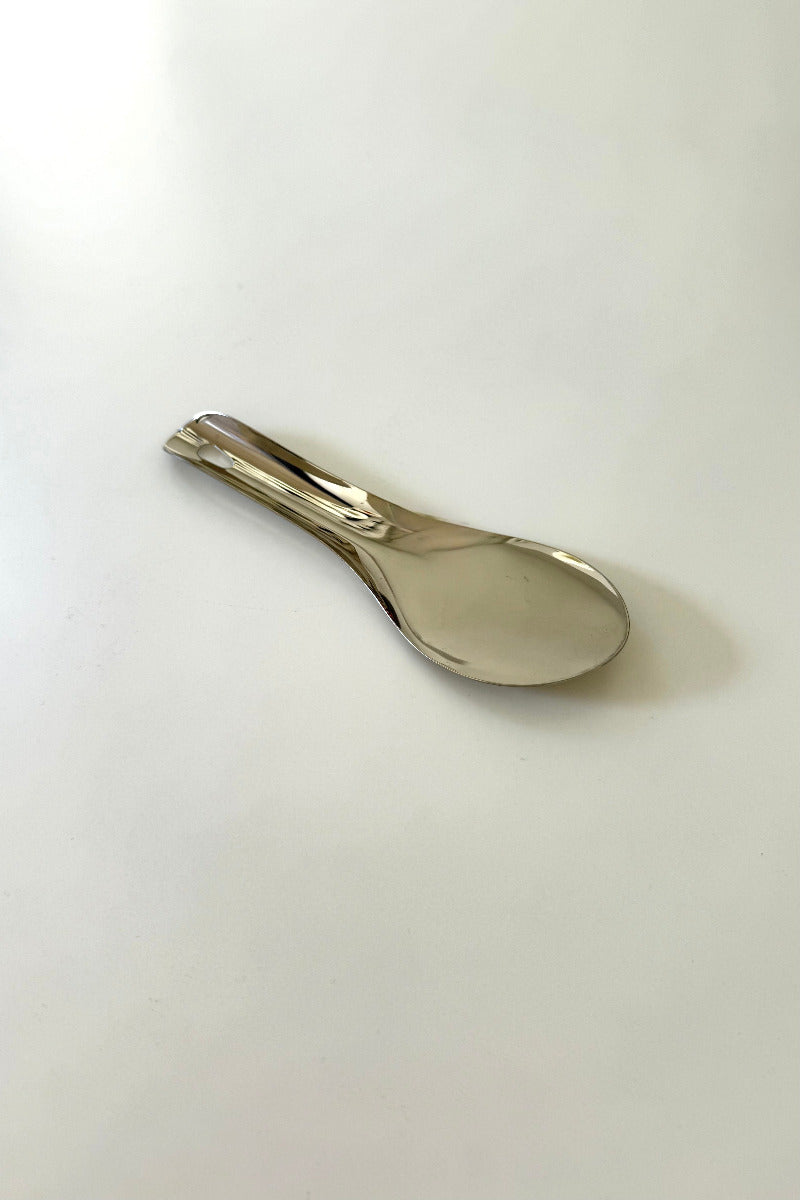 Ice Cream Scoop