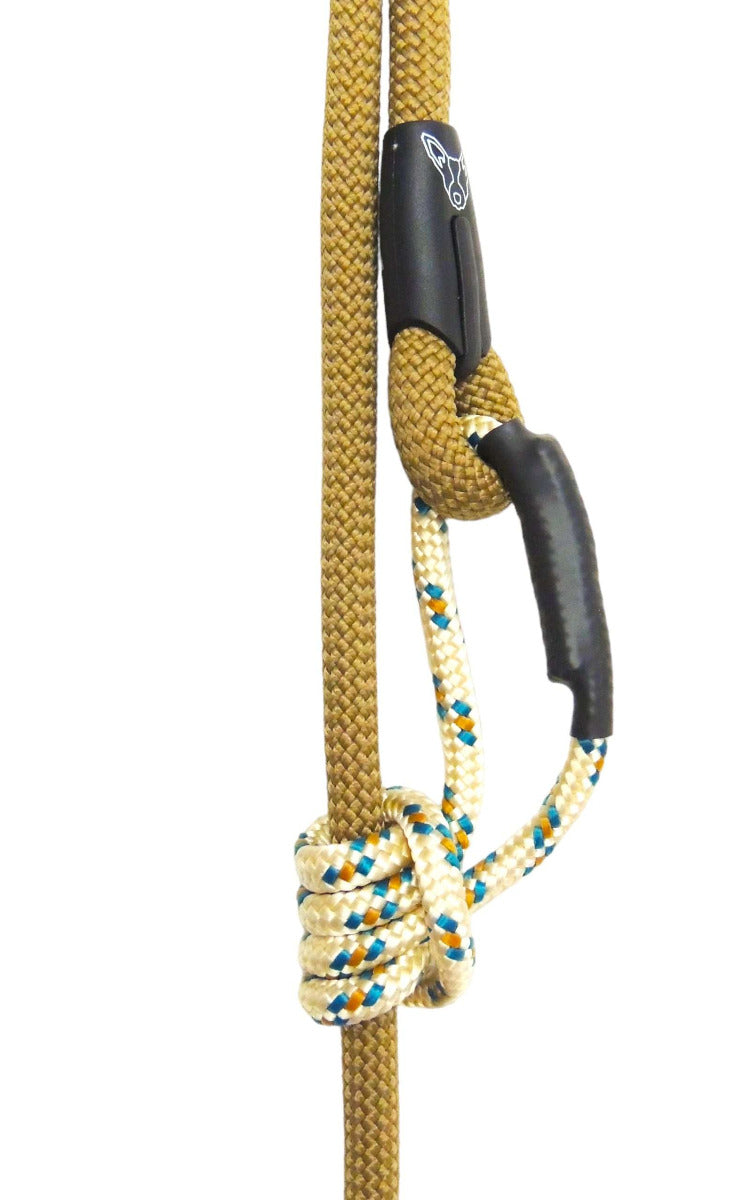 Retractable Leash // Kauri