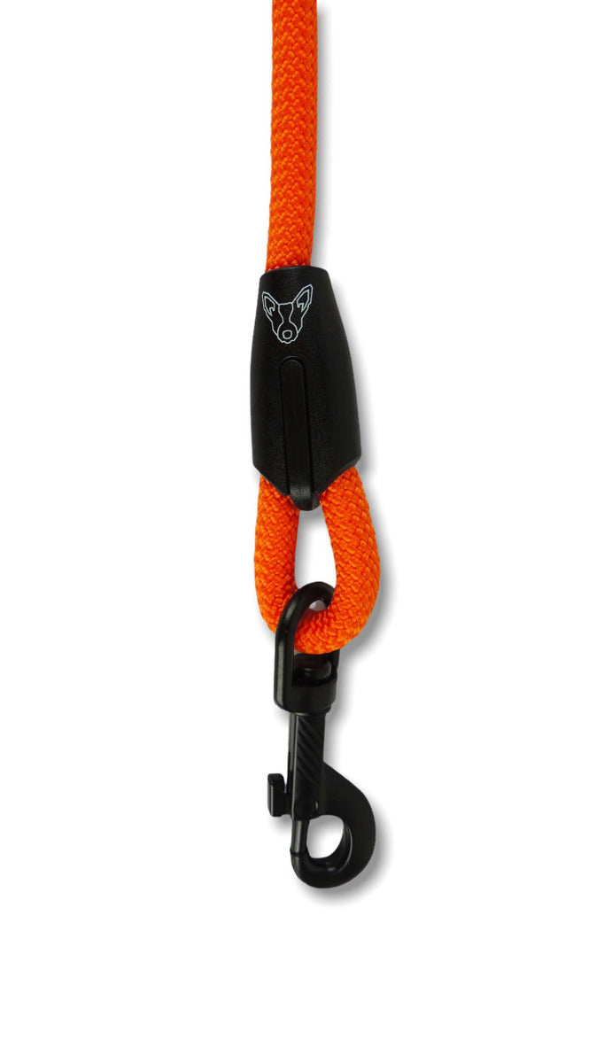Retractable Leash // Sorbetti Orange
