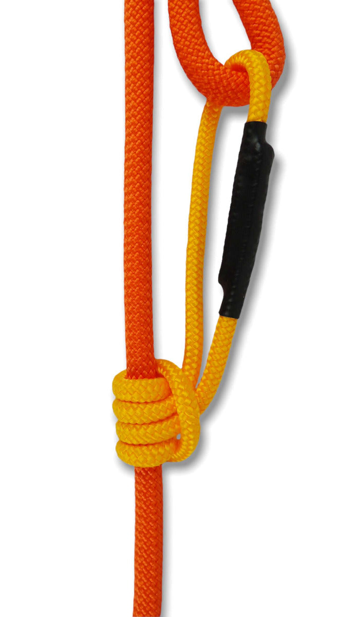 Retractable Leash // Sorbetti Orange