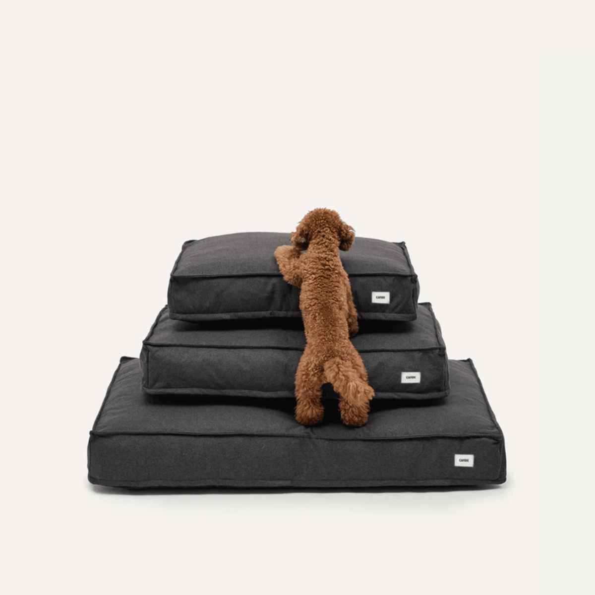 CAFIDE - Cuadra Dog Bed | Anthracite - Pets - DANSKshop.com