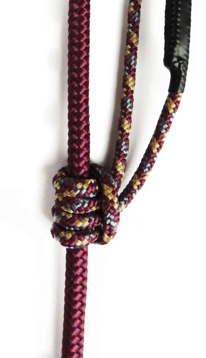 Retractable Leash // Brisbane