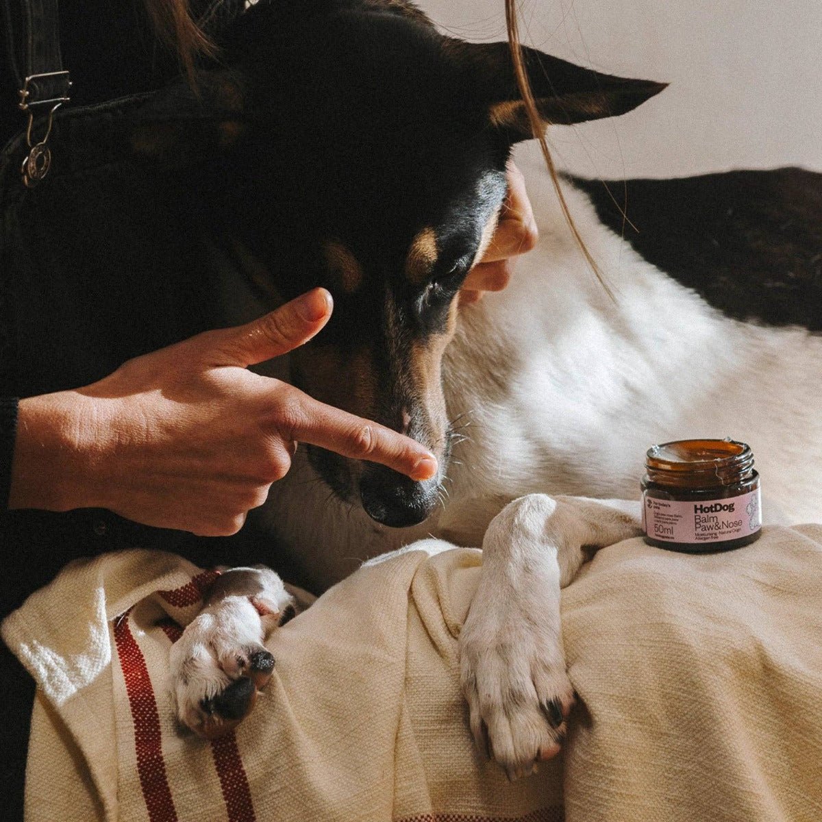 HotDog Pets - Dog Balm Protect - Pets - DANSKshop.com
