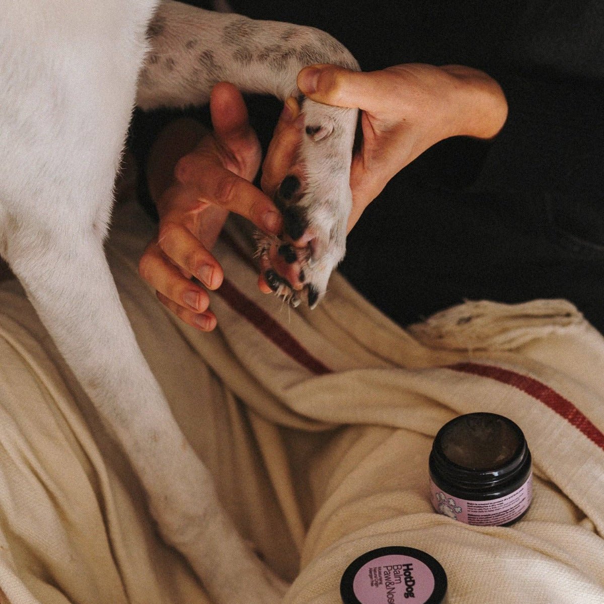 HotDog Pets - Dog Balm Protect - Pets - DANSKshop.com