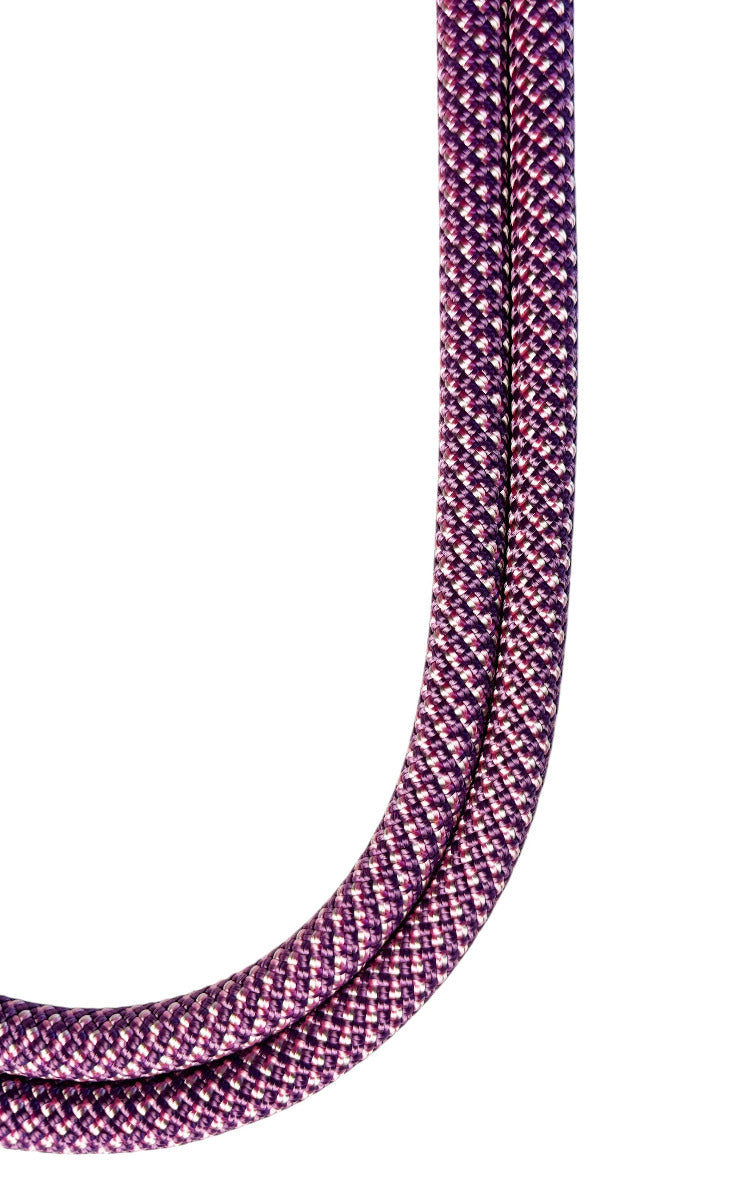 Retractable Leash // Jacaranda