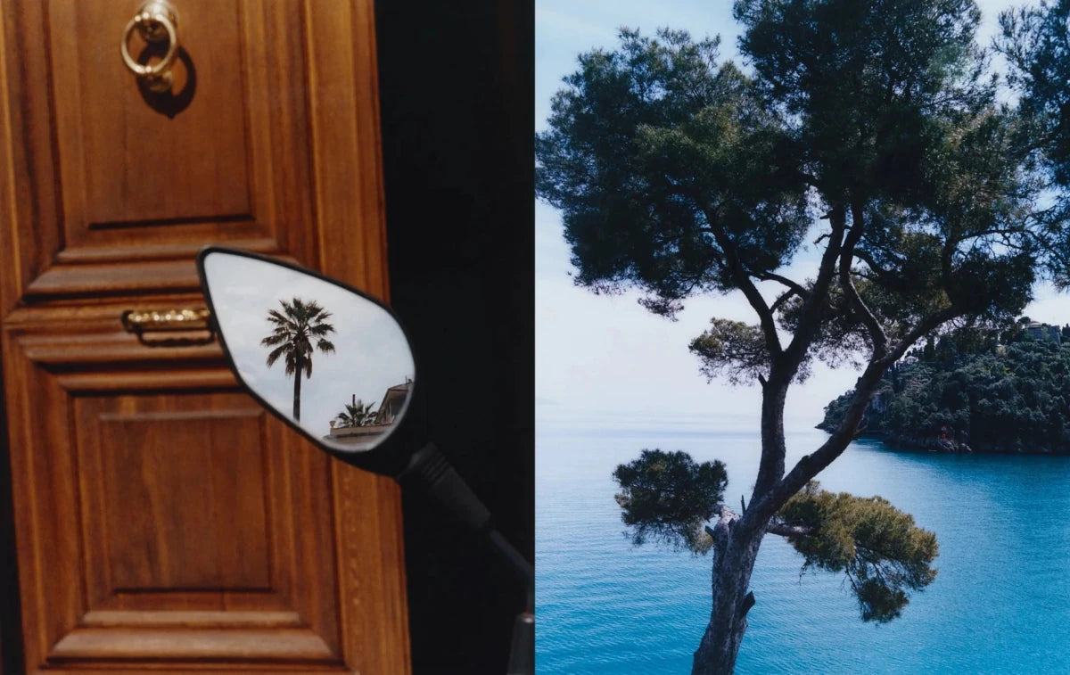 New Mags - LIGURIA: Recipes & Wanderings Along the Italian Riviera - Books - DANSKshop.com