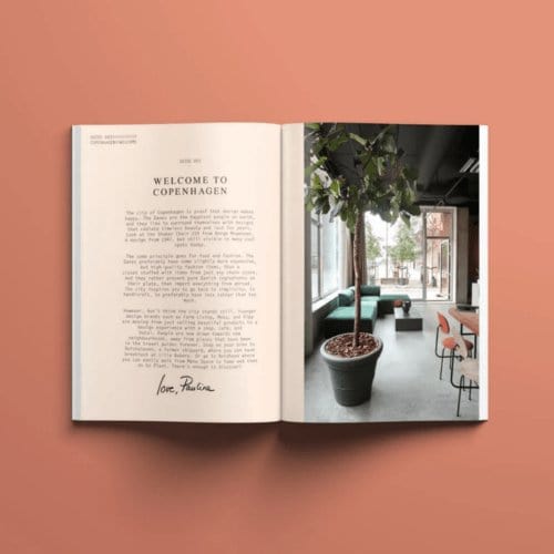 New Mags - The Copenhagen Guide - Books - DANSKmadeforrooms